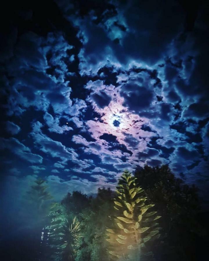 Dreams Apartments - Katelios,Santa Barbara Beach エクステリア 写真